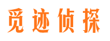 醴陵外遇出轨调查取证